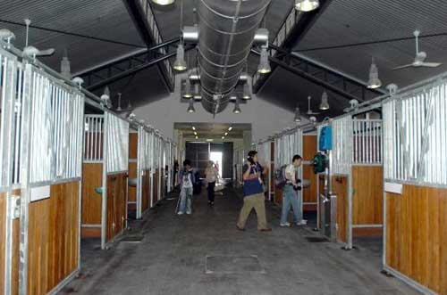 香港奧運馬術比賽場3