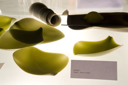 2010衛星沙龍展4