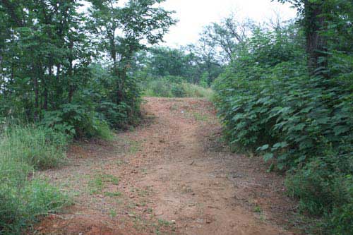 老山山地自行車場2
