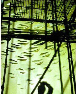  坑坑洼洼的墻面具有吸音功能