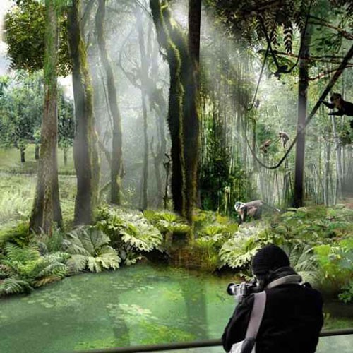 熱帶雨林區展示區暢想