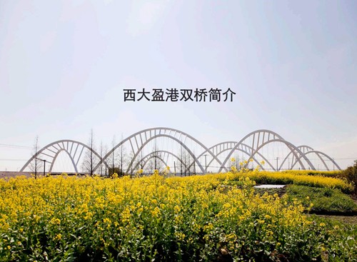 西大盈港雙橋 1