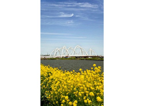 西大盈港雙橋 2