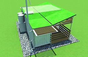  加上草皮房頂，臨時住宅便有了生氣