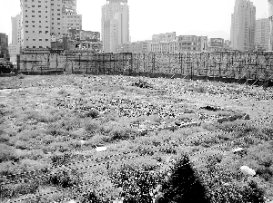 位于東方紅廣場附近的昔日科學宮所在位置現在已荒蕪了10年