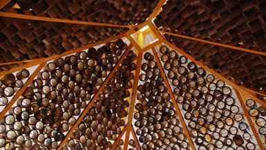 本杰明.加西亞.薩克斯在哥斯達黎加設計竹屋3