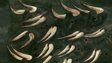 卡拉特拉瓦為紐約市芭蕾舞公司設計春季場景2