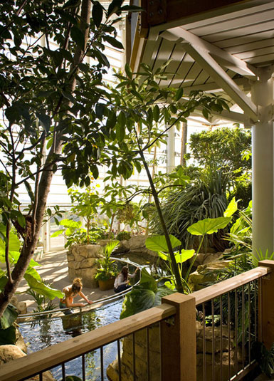 美國匹茲堡Phi溫室和植物園進行擴建3