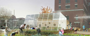 WORK建筑公司設(shè)計(jì)紐約布魯克林“食物校園”2