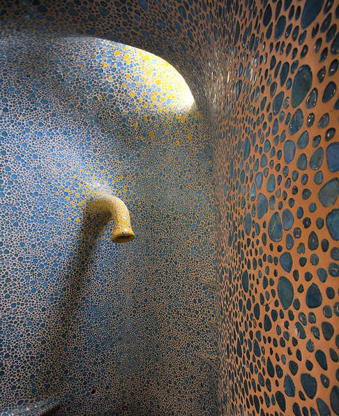 Organica:墨西哥鸚鵡螺住宅4