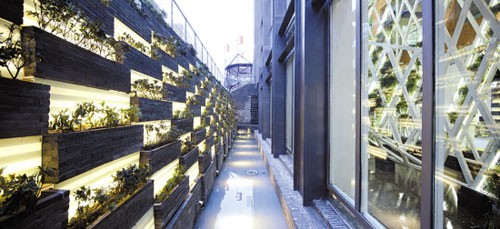 滬上生態(tài)家，垃圾造出的寶貝屋2