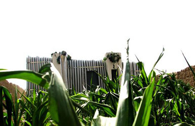 Alireza Aadpour在伊朗卡拉奇設計一座私人房屋2