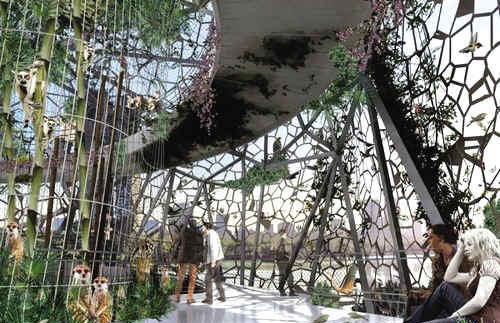 空中動物園 越高景越靚1