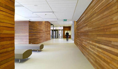 荷蘭Haarlem法院更新工作完成 3