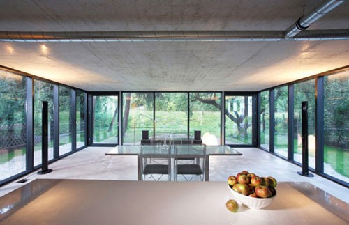 萬樹叢中一點“紅”4