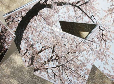 富士山中的鏡面座椅3