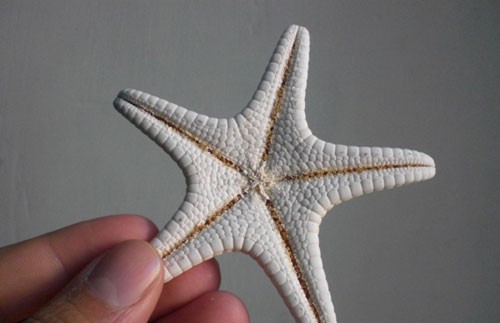 意大利特洛佩阿海星廣場10