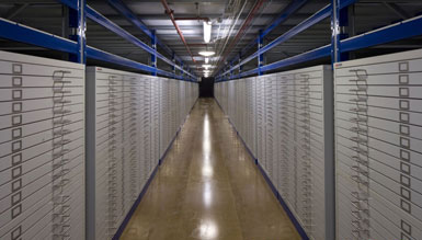 牛津大學Bodleian圖書館建造245公里長的書架 2