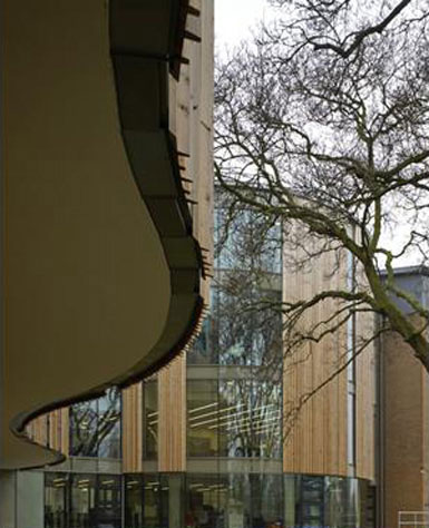 Cullinan設計的英國邱園擴建工程開放3