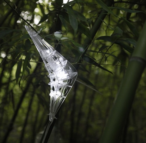 王振飛，王鹿鳴設計“樹精靈”