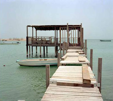 巴林展臺(tái)獲得威尼斯雙年展金獅獎(jiǎng)4