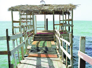 未來建筑貓一撞就倒？1