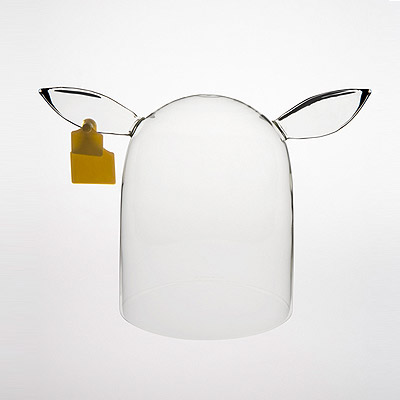 fragile是玻璃做的4