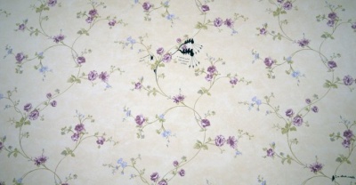 Nedko Solakov“我想念社會主義”個展2