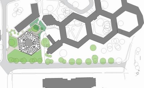 赫德利?布爾中心14