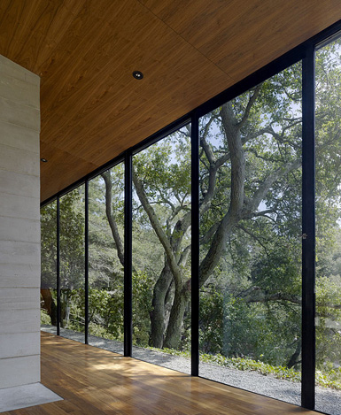 Ogrydziak事務(wù)所在美國加州設(shè)計(jì)林中屋4
