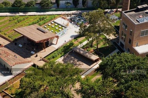 巴西圣保羅市維克多奇維塔廣場設計1