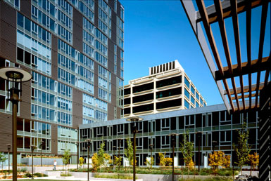 THA事務所在美國波特蘭設計Cyan大廈 1