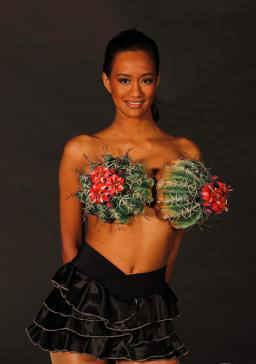 蒙塔納世界可穿著藝術大賽3