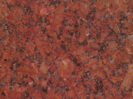 印度紅（大花）