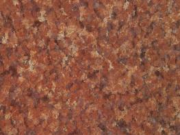 印度紅（中花）