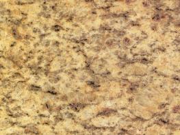 紫點金麻（淺）