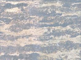 黃金海岸（二）