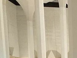 品種推薦|悠悠風韻——中國白